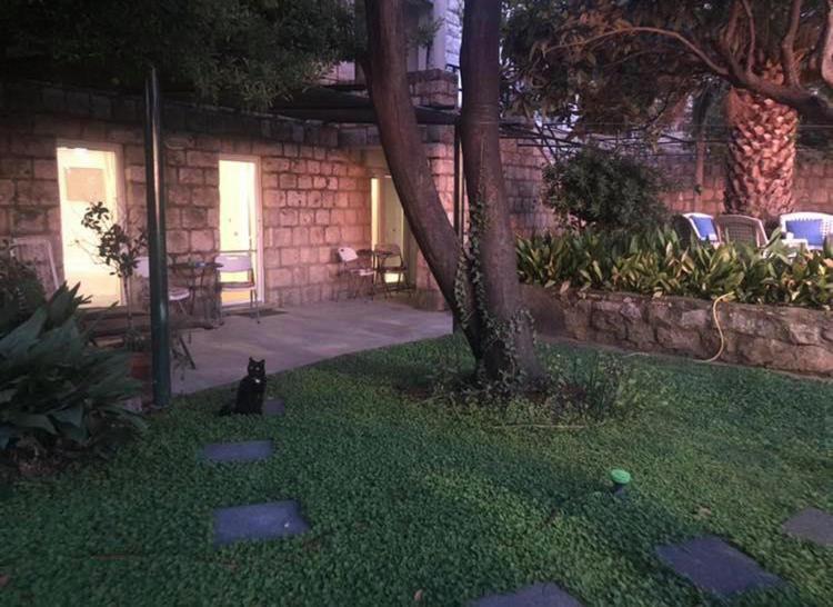 Apartman u prizemlju