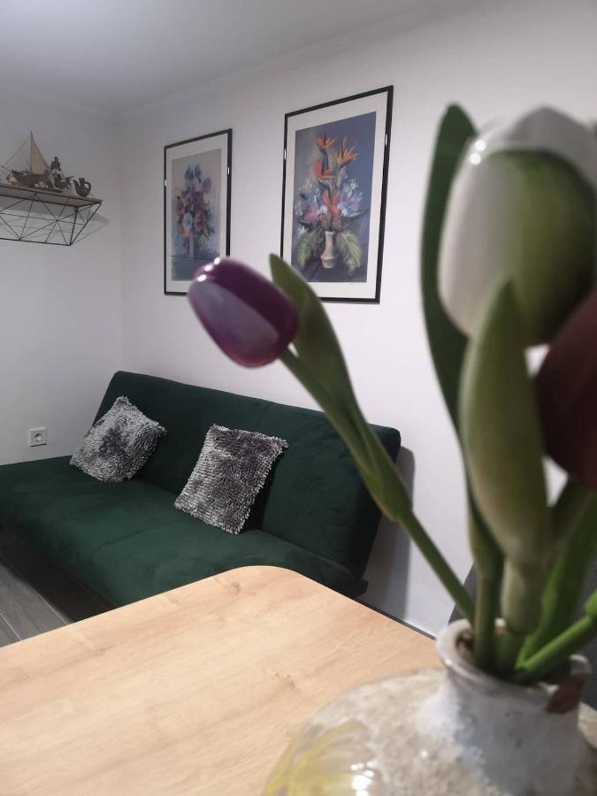 Apartment Terrace