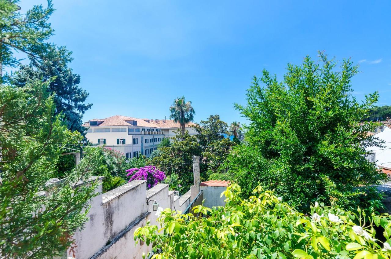 Studio Apartment Terrace Sea View
