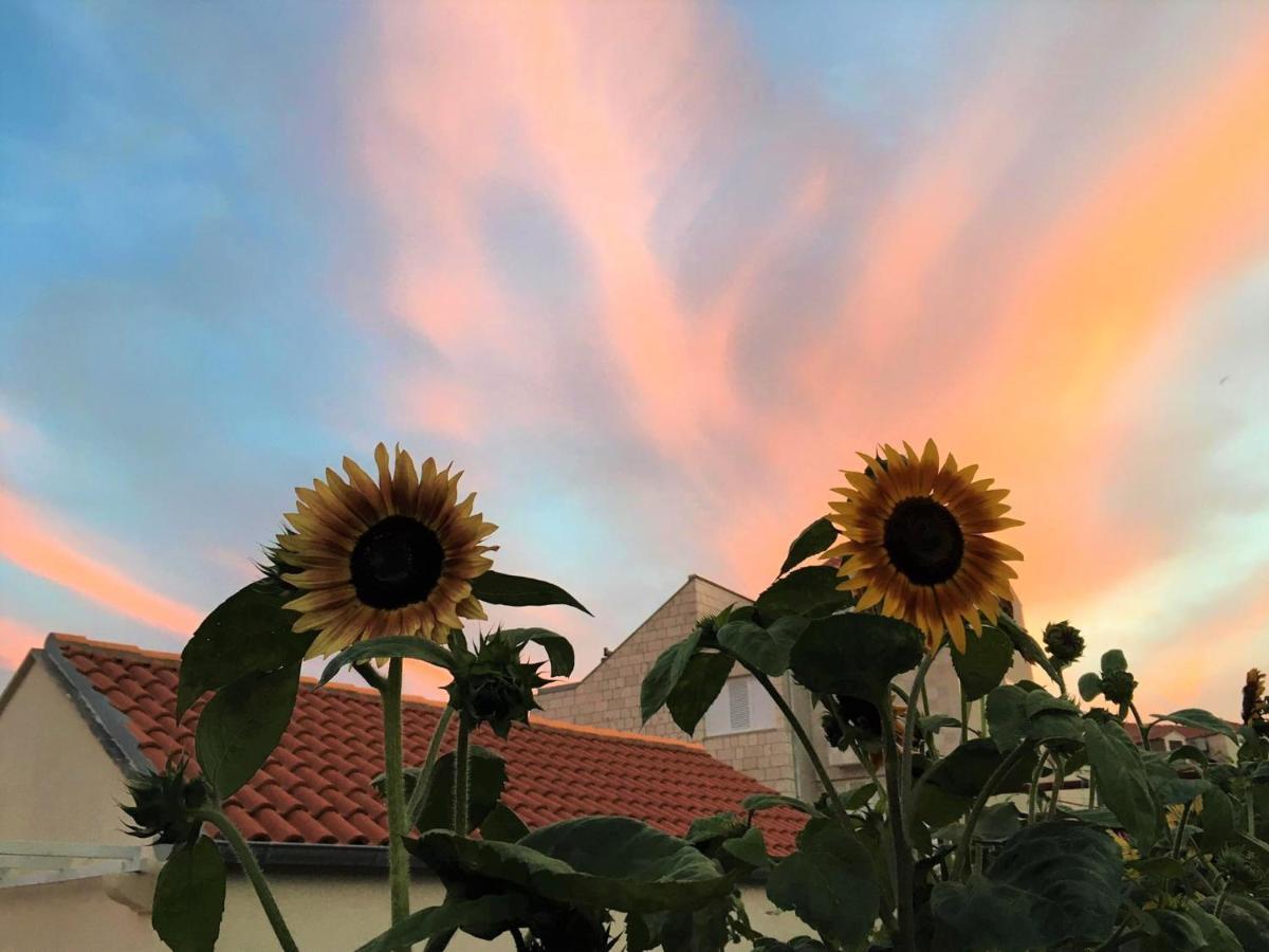 One Bedroom Apartment Garden View