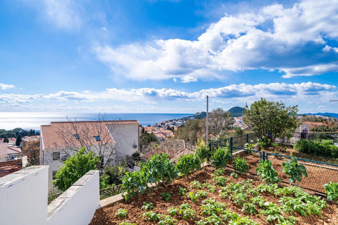 One Bedroom Apartment Balcony Sea View
