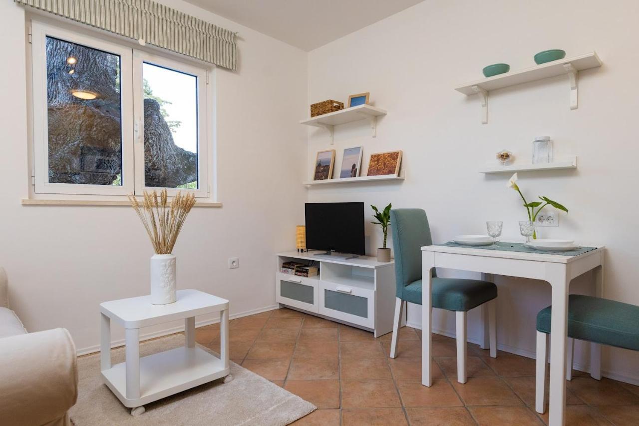 One-Bedroom Apartment Garden View