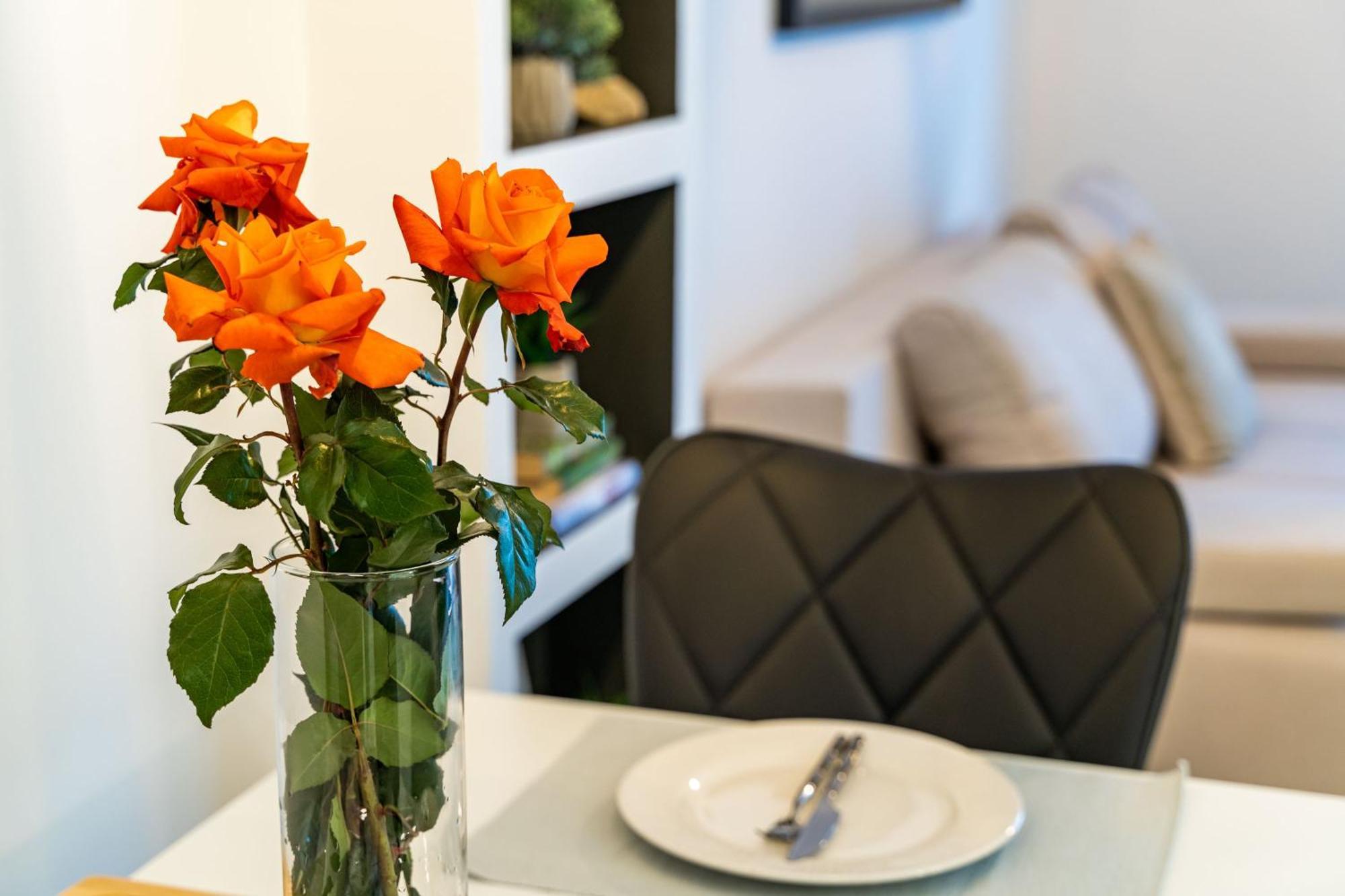 Studio Apartment Terrace