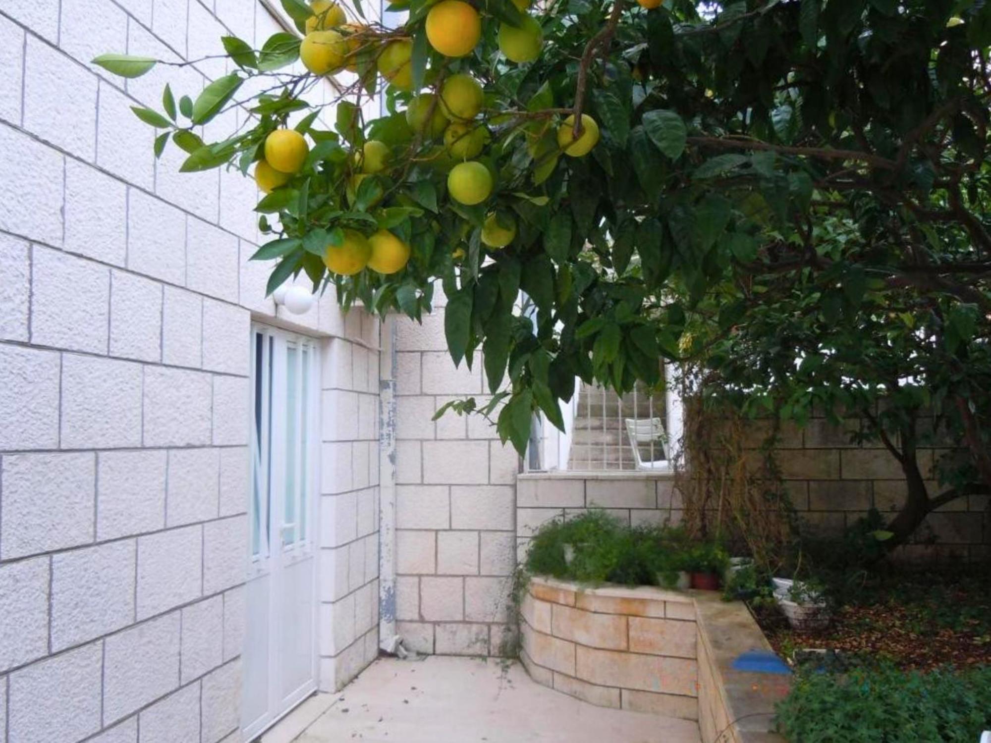 Studio Terrace
