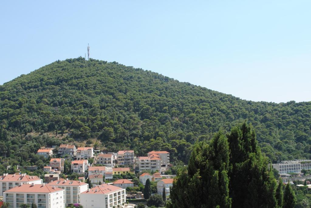 Studio Apartment Terrace