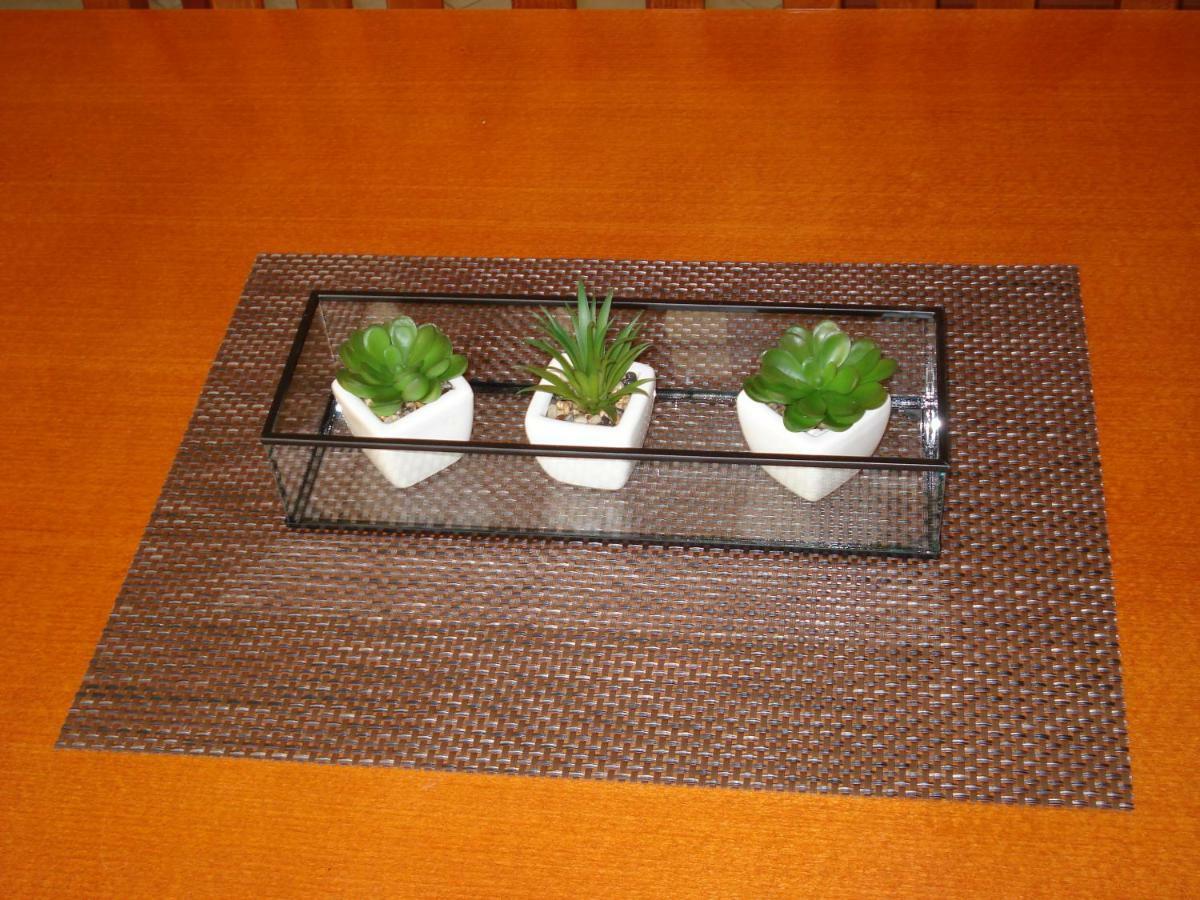 Studio Apartment Terrace