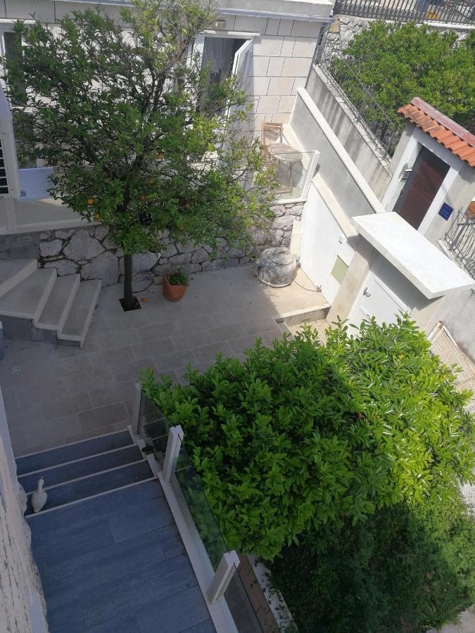 Studio Garden View