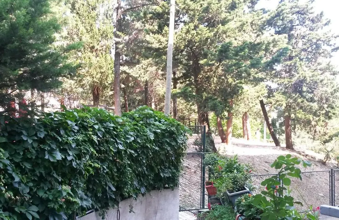 Anamarija Apartman-1