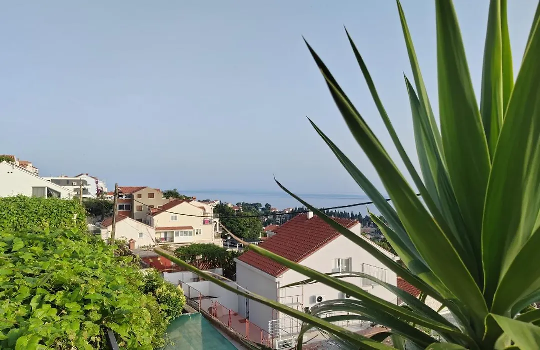 Mediterranean Vista-1