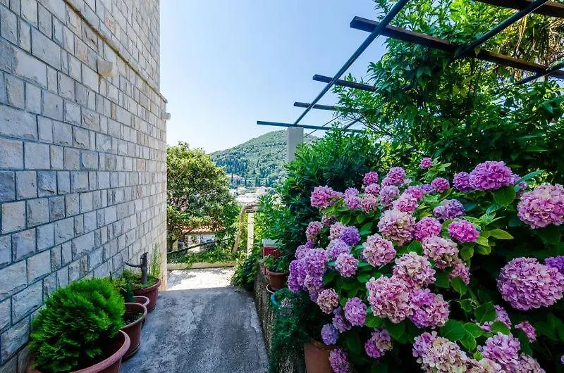 Apartment Pavo-1