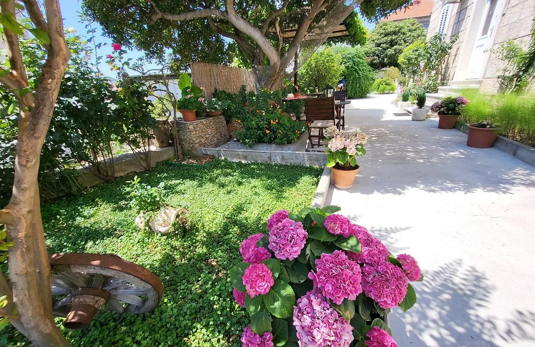 Apartments Miljas-1