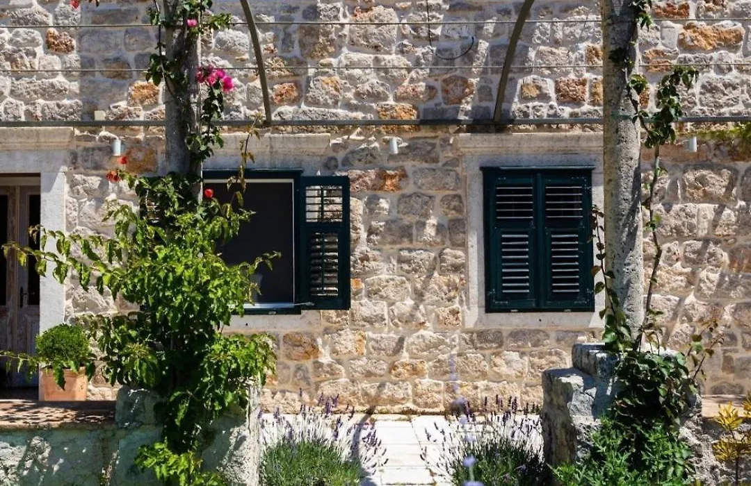 Villa Ani Apartment Coral-1