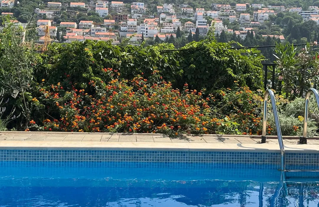 Mediteraneo-1