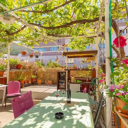 Studio Ibis-3