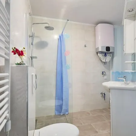 Studio Ibis-2