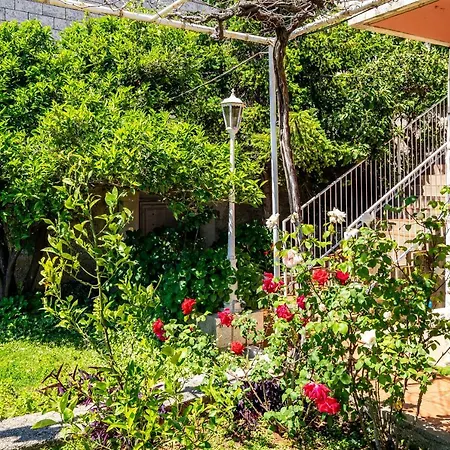 Apartment Rose 1-3