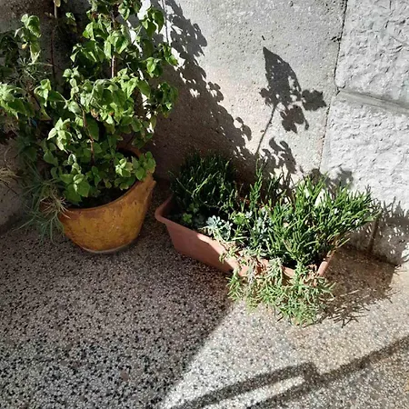 Apartment Zana-3