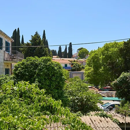 Golden Rose - Walking Distance 1 Km From Old Town-2