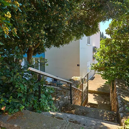 Golden Rose - Walking Distance 1 Km From Old Town-3