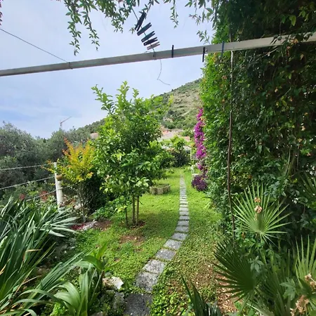 Greengarden-3