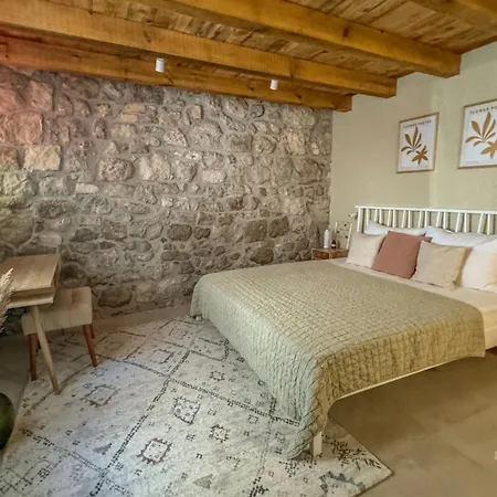 Olive Harmony Suite-2