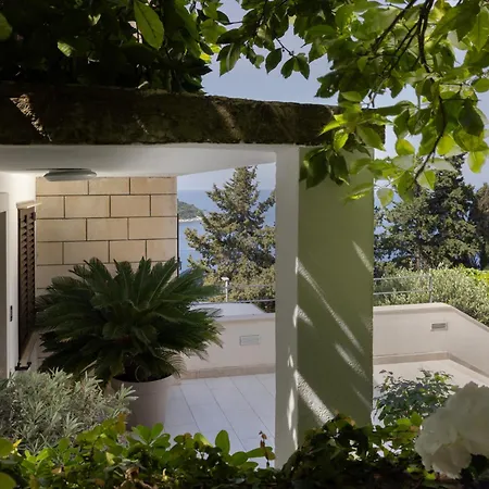 Villa King-2