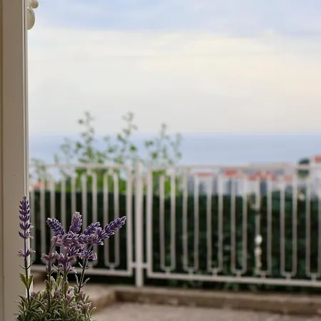 Studio Apartment S&N-3