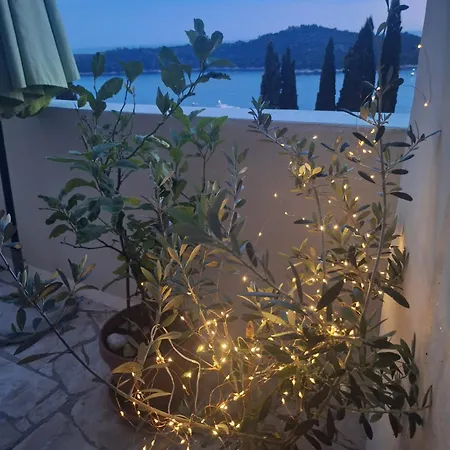 Apartment Matea Zlatni Potok-3