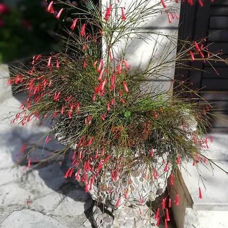 Villa Luka-2