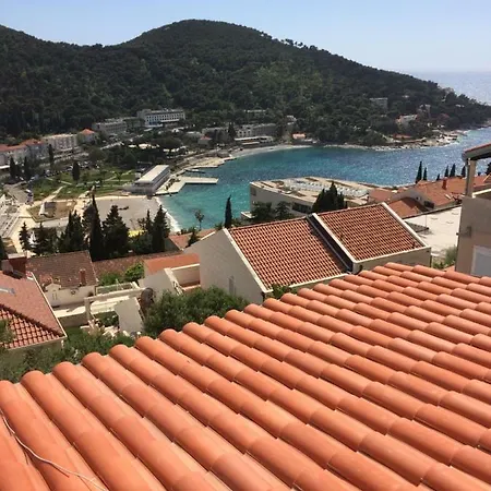 Apartments Orchidea 1-2