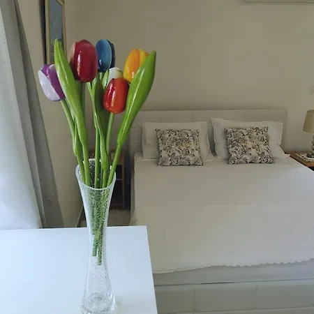 Apartment Ivka-2