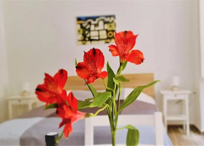 Prijeko Relax Apartment Dubrovnik