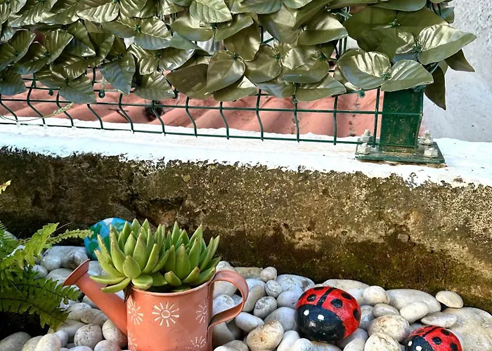 Studios Heliva Dubrovnik