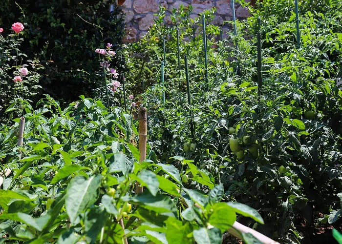 Apartment Garden M&M Dubrovnik