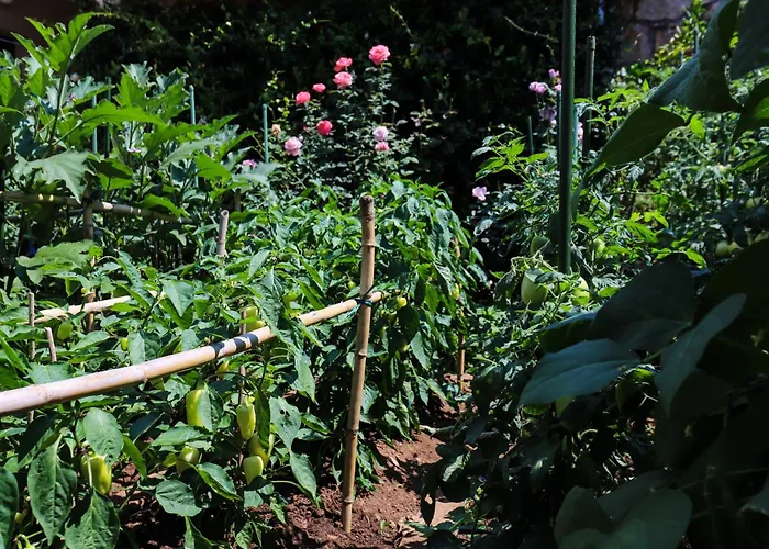 Apartment Garden M&M Dubrovnik