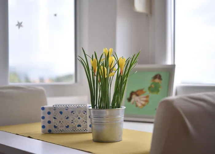 The Dream On Apartment Dubrovnik